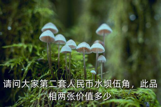 請(qǐng)問大家第二套人民幣水壩伍角，此品相兩張價(jià)值多少