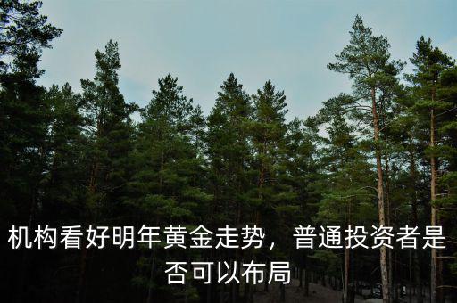 機構看好明年黃金走勢，普通投資者是否可以布局