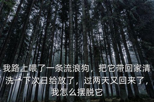 我路上喂了一條流浪狗，把它帶回家清洗一下次日給放了，過兩天又回來了，我怎么擺脫它