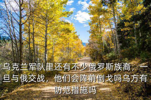 烏克蘭軍隊里還有不少俄羅斯族裔，一旦與俄交戰(zhàn)，他們會陣前倒戈嗎烏方有防范措施嗎
