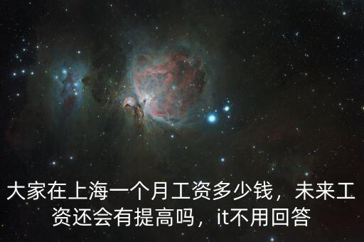 大家在上海一個月工資多少錢，未來工資還會有提高嗎，it不用回答