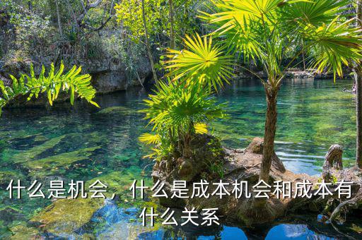 什么是機(jī)會(huì)，什么是成本機(jī)會(huì)和成本有什么關(guān)系