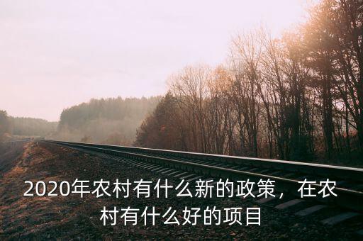 2020年農(nóng)村有什么新的政策，在農(nóng)村有什么好的項目