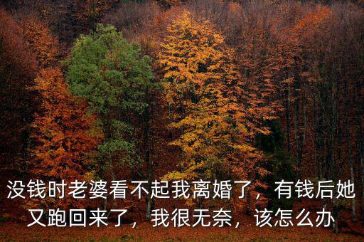 沒錢時老婆看不起我離婚了，有錢后她又跑回來了，我很無奈，該怎么辦