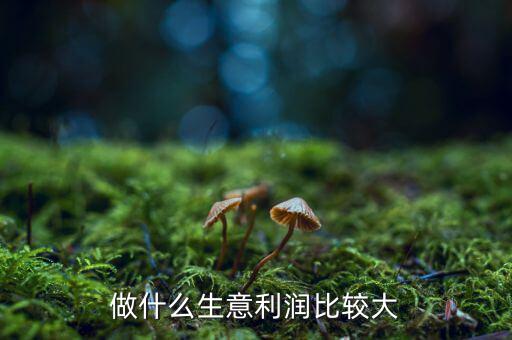 以廠家名義開(kāi)家什么生意店利潤(rùn)大,拼多多廠家開(kāi)什么店最好