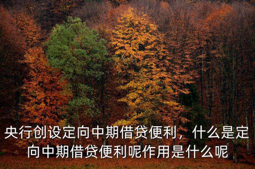 央行創(chuàng)設定向中期借貸便利，什么是定向中期借貸便利呢作用是什么呢