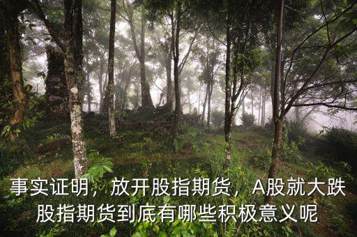 事實(shí)證明，放開股指期貨，A股就大跌股指期貨到底有哪些積極意義呢