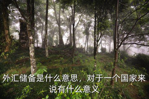 外匯儲(chǔ)備是什么意思，對(duì)于一個(gè)國(guó)家來(lái)說(shuō)有什么意義