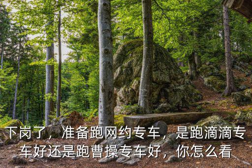下崗了，準備跑網(wǎng)約專車，是跑滴滴專車好還是跑曹操專車好，你怎么看