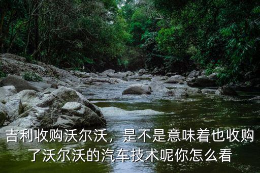 吉利收購沃爾沃，是不是意味著也收購了沃爾沃的汽車技術(shù)呢你怎么看