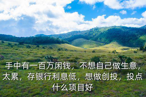 手中有一百萬閑錢，不想自己做生意，太累，存銀行利息低，想做創(chuàng)投，投點什么項目好