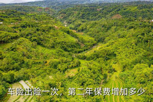 車(chē)險(xiǎn)出險(xiǎn)一次，第二年保費(fèi)增加多少