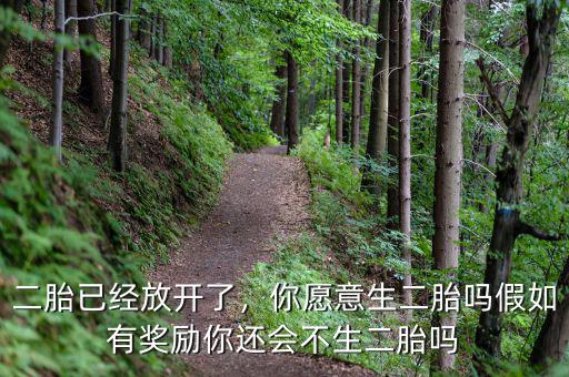 二胎已經(jīng)放開了，你愿意生二胎嗎假如有獎勵你還會不生二胎嗎