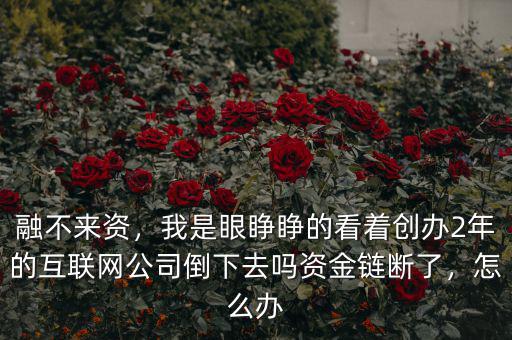 融不來資，我是眼睜睜的看著創(chuàng)辦2年的互聯(lián)網(wǎng)公司倒下去嗎資金鏈斷了，怎么辦