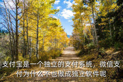 支付寶是一個獨立的支付系統(tǒng)，微信支付為什么不也做成獨立軟件呢
