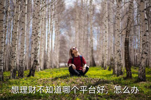 想理財(cái)不知道哪個(gè)平臺(tái)好，怎么辦