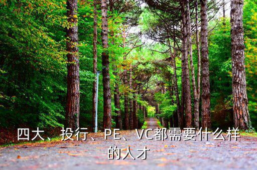 四大、投行、PE、VC都需要什么樣的人才