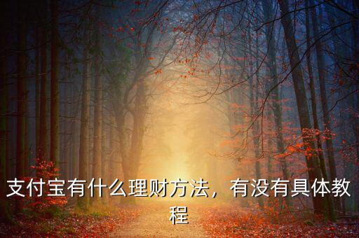 怎么用支付寶理財,該如何用支付寶來理財呢