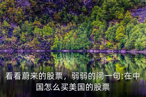看看蔚來的股票，弱弱的問一句:在中國怎么買美國的股票