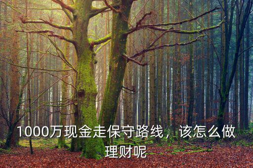 1000萬現(xiàn)金走保守路線，該怎么做理財呢