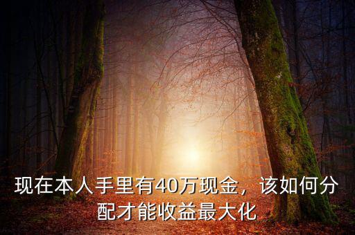 現(xiàn)在本人手里有40萬(wàn)現(xiàn)金，該如何分配才能收益最大化