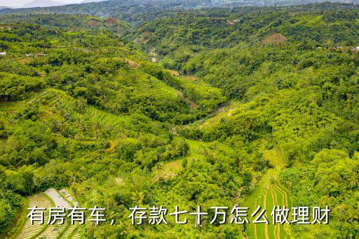 有房有車，存款七十萬(wàn)怎么做理財(cái)