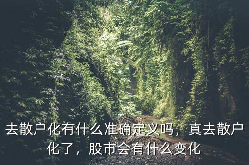 去散戶化有什么準(zhǔn)確定義嗎，真去散戶化了，股市會(huì)有什么變化