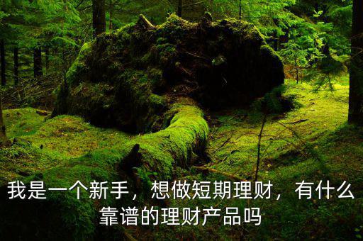 我是一個新手，想做短期理財，有什么靠譜的理財產(chǎn)品嗎