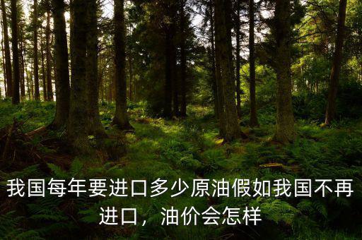 我國(guó)每年要進(jìn)口多少原油假如我國(guó)不再進(jìn)口，油價(jià)會(huì)怎樣