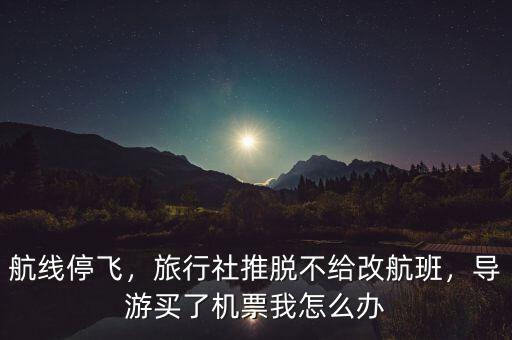 航線停飛，旅行社推脫不給改航班，導(dǎo)游買了機票我怎么辦