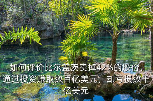 如何評價比爾蓋茨賣掉42%的股份，通過投資賺取數(shù)百億美元，卻虧損數(shù)千億美元