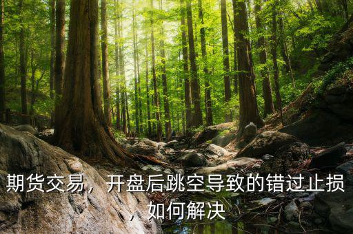 期貨交易，開盤后跳空導致的錯過止損，如何解決