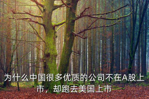 為什么中國(guó)很多優(yōu)質(zhì)的公司不在A股上市，卻跑去美國(guó)上市