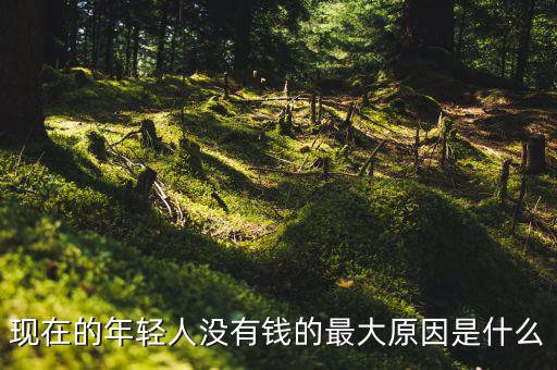 現(xiàn)在的年輕人沒(méi)有錢(qián)的最大原因是什么