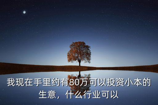 我現(xiàn)在手里約有80萬可以投資小本的生意，什么行業(yè)可以