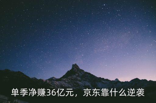 單季凈賺36億元，京東靠什么逆襲