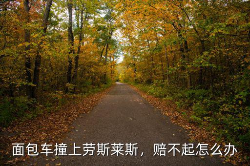 面包車撞上勞斯萊斯，賠不起怎么辦