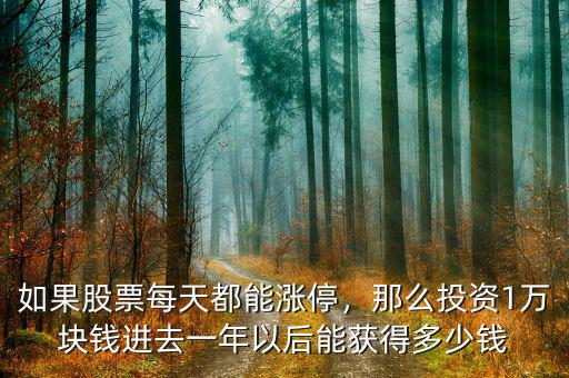 如果股票每天都能漲停，那么投資1萬塊錢進去一年以后能獲得多少錢