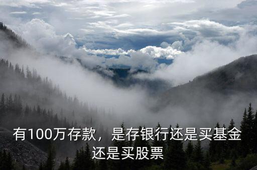 有100萬存款，是存銀行還是買基金還是買股票