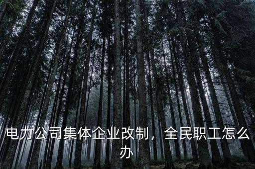 電力公司集體企業(yè)改制，全民職工怎么辦