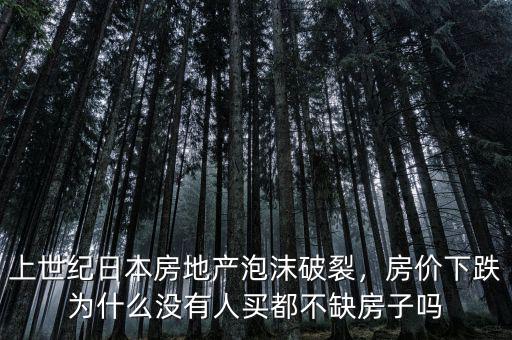 上世紀(jì)日本房地產(chǎn)泡沫破裂，房?jī)r(jià)下跌為什么沒(méi)有人買(mǎi)都不缺房子嗎