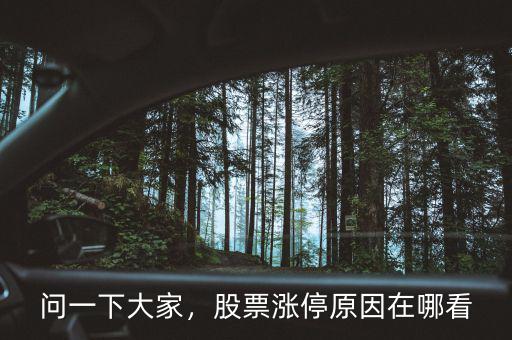 問一下大家，股票漲停原因在哪看