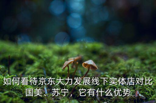 如何看待京東大力發(fā)展線下實體店對比國美、蘇寧，它有什么優(yōu)勢