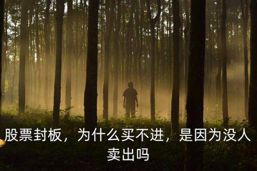 股票封板，為什么買不進(jìn)，是因?yàn)闆]人賣出嗎