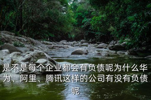 是不是每個企業(yè)都會有負(fù)債呢為什么華為、阿里、騰訊這樣的公司有沒有負(fù)債呢