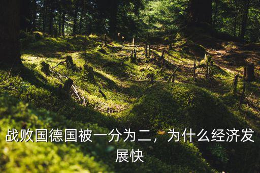 戰(zhàn)敗國德國被一分為二，為什么經(jīng)濟(jì)發(fā)展快
