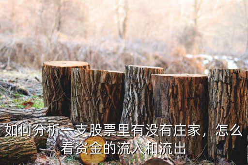 如何分析一支股票里有沒有莊家，怎么看資金的流入和流出
