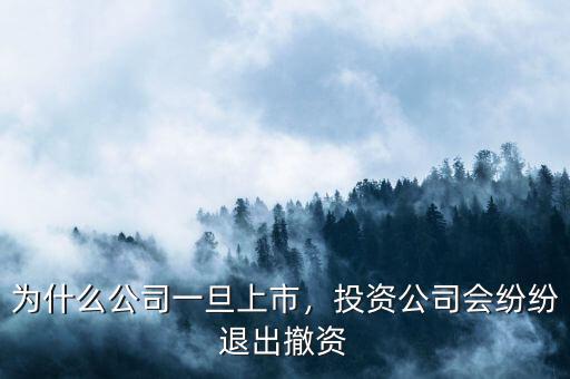 為什么公司一旦上市，投資公司會紛紛退出撤資