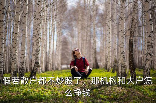 散戶(hù)怎么炒股賺錢(qián),炒股散戶(hù)真的能賺錢(qián)嗎