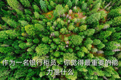 作為一名銀行柜員，你覺(jué)得最重要的能力是什么